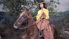 Une Grande Dame