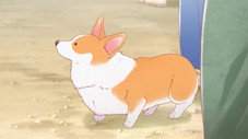 Épisode 9