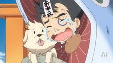 Saruyama en cadeau