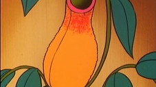 Épisode 8