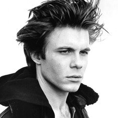 Will Stewart