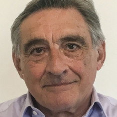 Ahmet İnsel