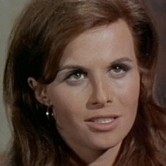 Lynn Loring