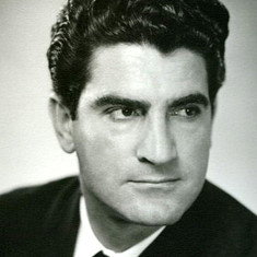 Vigen