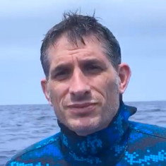 Yannis P. Papastamatiou