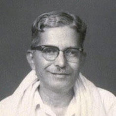 N. S. Narayana Pillai