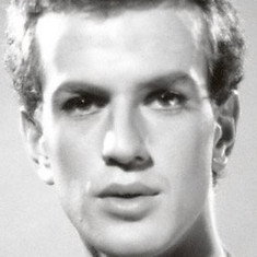 Henk van Dijk