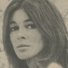 Dimma Zecchin