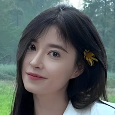 Han Qi