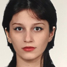 Şilan Narin
