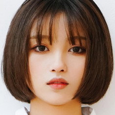 Wang Han