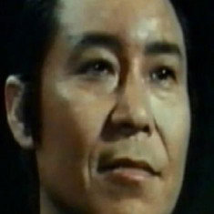 Wang Fei