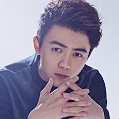 Yi Zhengfu