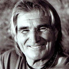Vojislav Govedarica