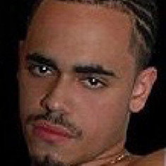 Latin Stallion