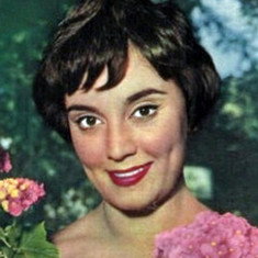 Anita Todesco
