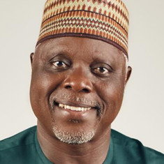 Dele Odule