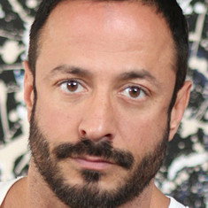 Vinnie Stefano