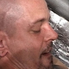 Steve Gregor