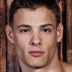 Andrei Karenin