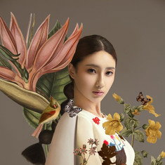 房星彤