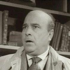 Manoel Vieira