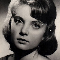 Terje Luik