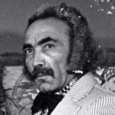 Siroos Shandermani