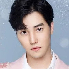 Du Yafei