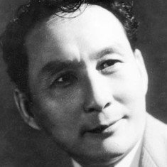 Zheng Jun-li