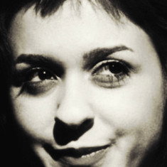 Anali Shakoori