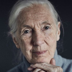 Jane Goodall