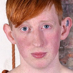 Levi Stephans