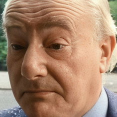 Wim van den Brink