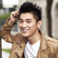 Wang Wenjie