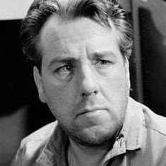 Ko van Dijk