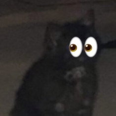 Sooty