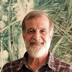 Akbar Rahmati