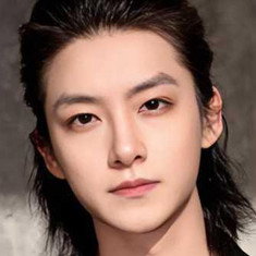 Liu Shanglin