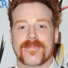 Stephen Farrelly