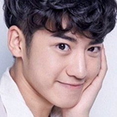 Wang Yichen
