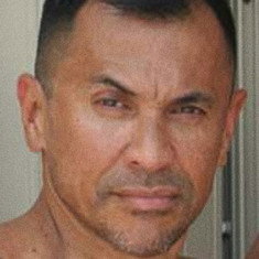 Rex Valentino