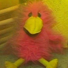 Pauline Bird