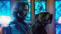 Ver Trailer pelicula John Wick 3: Parabellum latino Trailer latino Pelicula John Wick 3: Parabellum