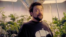 Ver Trailer Hollyweed online latino Trailer Hollyweed serie en latino online