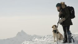 Ver Trailer pelicula La montaña entre nosotros latino Trailer latino Pelicula La montaña entre nosotros
