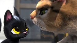 Ver Trailer pelicula Gatos. Un viaje de vuelta a casa latino Trailer latino Pelicula Gatos. Un viaje de vuelta a casa