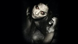 Recommandation 1