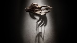 Recommandation 1