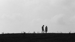 Recommandation 1